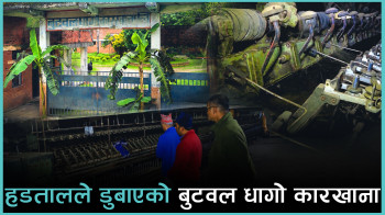 बुटबल धागो कारखाना ब्युँताउने पहल