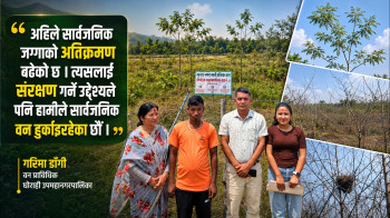 बगरदेखि हराभरा वनसम्म…
