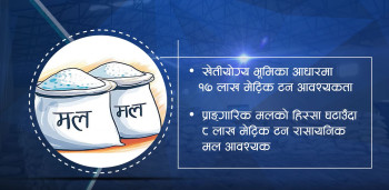धान रोपिसक्दा पनि किसानलाई मल अभावकै तनाव