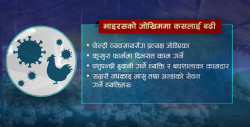 बर्डफ्लु संक्रमण फैलँदै : मानिसमा जोखिम कति ?