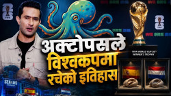 विश्वकपको रहस्यमय स्टार : पल दि अक्टोपस
