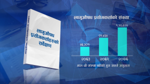 लागूऔषधको चक्रव्यूहमा फस्ने युवाको संख्या बढेको बढ्यै