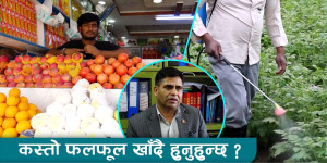 बजारका फलफूल कति सुरक्षित ?