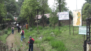 जडिबुटी संरक्षणसँगै पर्यापर्यटन प्रवर्द्धनमा जौटार सामुदायिक वन