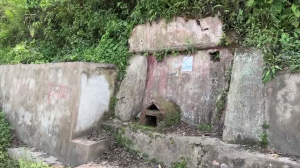 तनहुँको घाँसीकुवा लोप हुने अवस्थामा