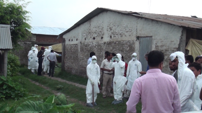 बर्डफ्लु अझै दुई महिना रहने अनुमान