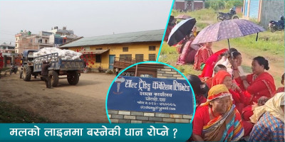 दाङमा रासायनिक मल संकट : किसानको रातभर लाइन, धेरै रित्तै फर्किए
