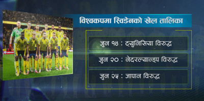 स्विडेनको १३औँ विश्वकप यात्रा : रक्षा बलियो, काउन्टर अट्याकमा भरोसा