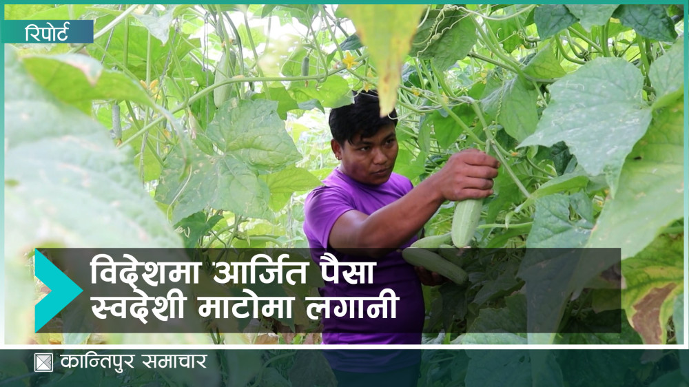 विदेशी कमाइबाट स्वदेशमै उद्यम, आत्मनिर्भर अर्थतन्त्रको बाटो
