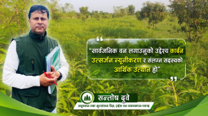 हरिवनमा हुर्किरहेछन् हरियो वन, विद्यार्थीलाई लाभ किसानलाई उद्यम