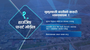 सुकुम्वासी बस्ती व्यवस्थापनमा अन्य देशमा कस्तो विकल्प अपनाइन्छ ?