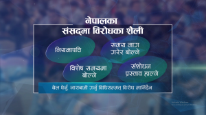 जनताको करले चलेको संसद्, रोक्ने अधिकार कसलाई ?