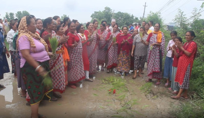 बिग्रिएको सडकमा राेपाइँ, स्थानीयको सिर्जनात्मक विरोध