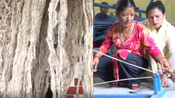 अल्लोको धागो बनाउने परम्परा जोगाउँदै दोलखाका महिला