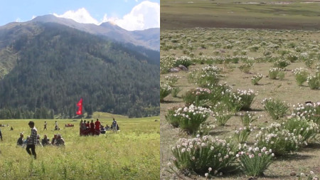 फूल, पाटन र भैँसीगोठको संगम : गुठीचौरमा पर्यटकको आकर्षण