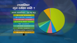 सामाजिक सुरक्षा भत्ता : उदार नीति कि आर्थिक जोखिम ?
