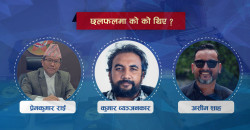 राहदानी ठेक्का अनियमितता अनुसन्धानमा प्रधानमन्त्री कार्यालयको सक्रियता, उठे संवैधानिक प्रश्न