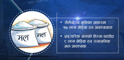 धान रोपिसक्दा पनि किसानलाई मल अभावकै तनाव