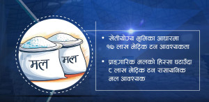 धान रोपिसक्दा पनि किसानलाई मल अभावकै तनाव