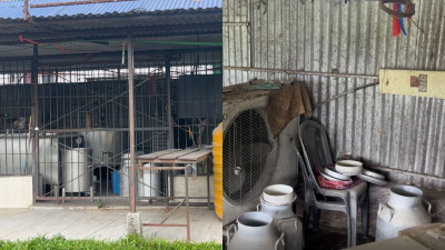 २२ लाखभन्दा बढी बक्यौता नतिरी डेरी सञ्चालक फरार, झापाका दुईसय किसान मारमा